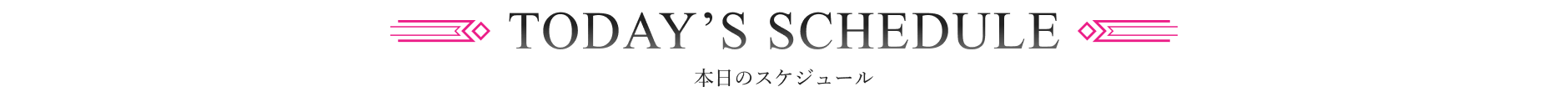 本日のスケジュール